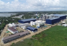 Đánh thức tiềm năng điện sinh khối của Việt Nam trước bất ổn địa chính trị quốc tế